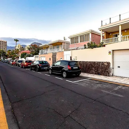 Veronicas * Arona (Tenerife)